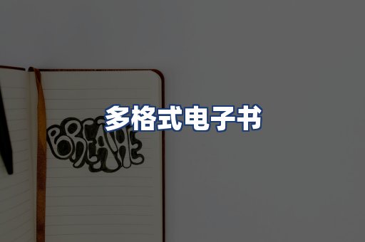 多格式电子书